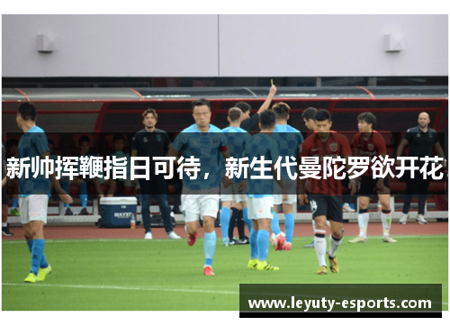 新帅挥鞭指日可待，新生代曼陀罗欲开花