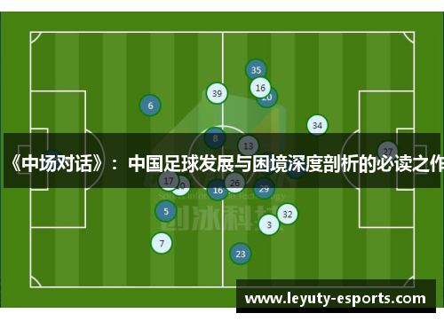 《中场对话》：中国足球发展与困境深度剖析的必读之作