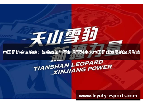 中国足协会议前瞻：降薪政策与赛制调整对未来中国足球发展的深远影响