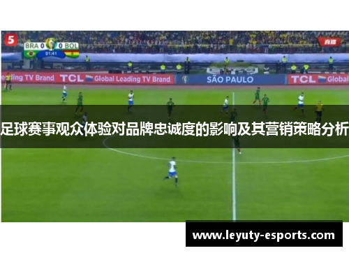 足球赛事观众体验对品牌忠诚度的影响及其营销策略分析