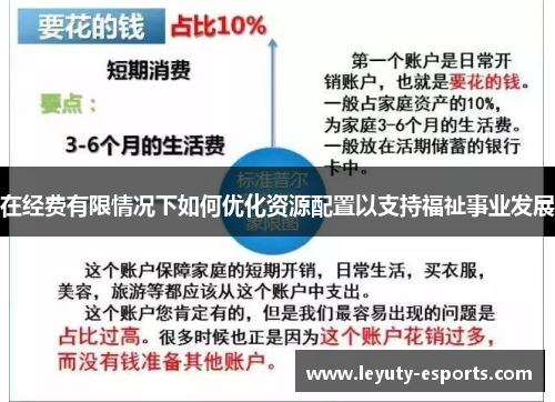 在经费有限情况下如何优化资源配置以支持福祉事业发展