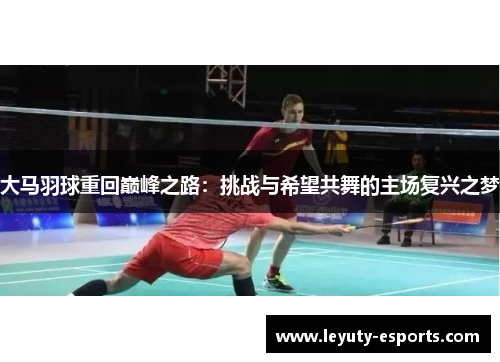大马羽球重回巅峰之路：挑战与希望共舞的主场复兴之梦