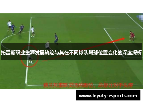 托雷斯职业生涯发展轨迹与其在不同球队踢球位置变化的深度探析