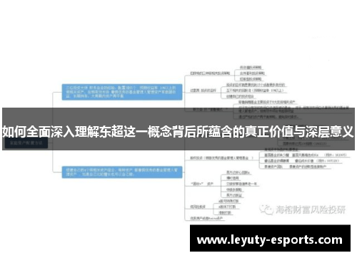 如何全面深入理解东超这一概念背后所蕴含的真正价值与深层意义